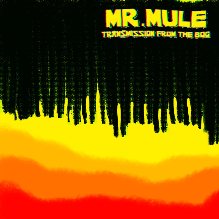 Mr. Mule - logo via mrmule.bandcamp.com
