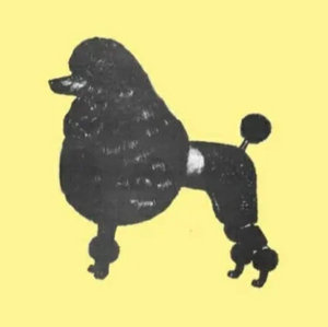 Susans - logo via ssusanss.bandcamp.com