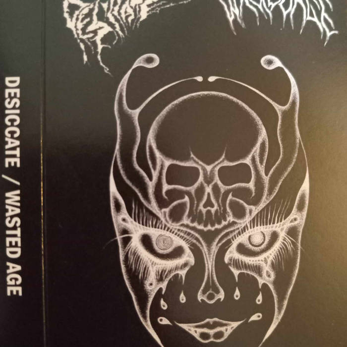 Wasted Age - logo via wastedage.bandcamp.com